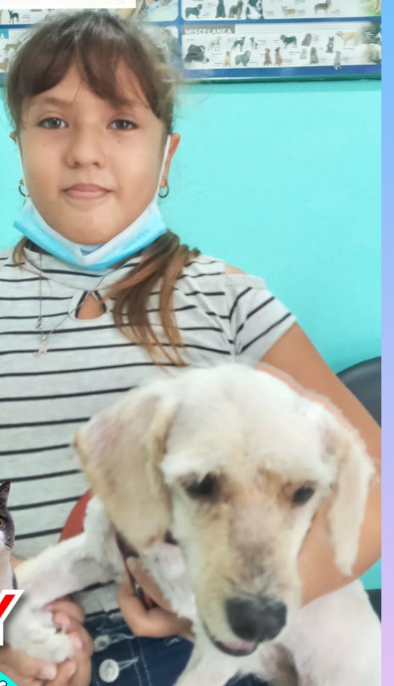 Baily después, con su dueña