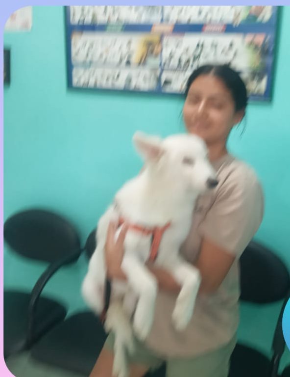 Joven con su perrita blanca