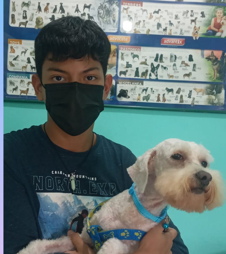Dandy después, en brazos de su dueño