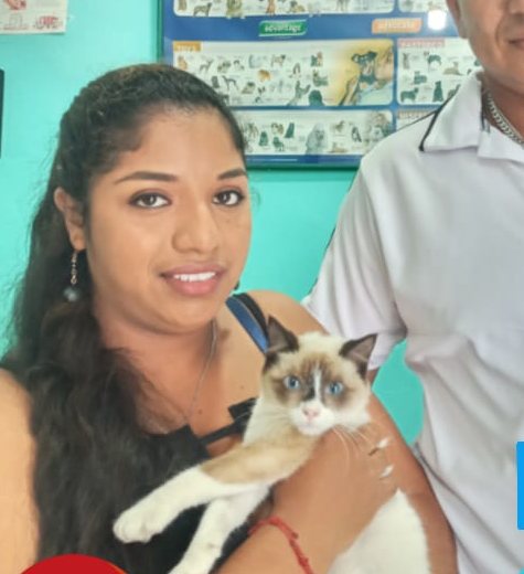 Nieve, gata siamesa, con sus dueños